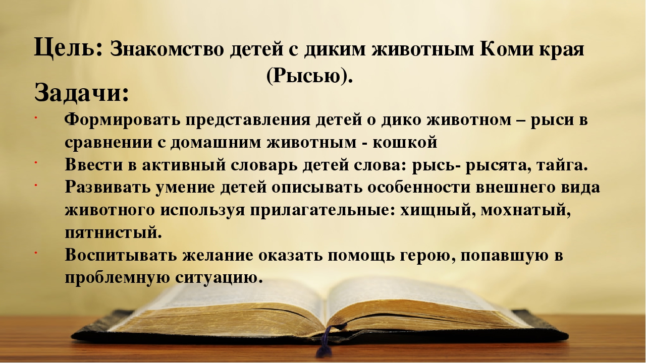 Презентация "Дикая кошка севера"