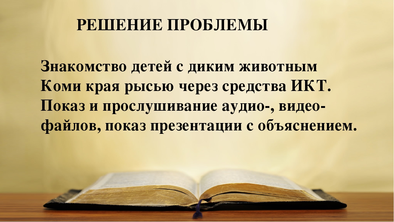 Презентация "Дикая кошка севера"