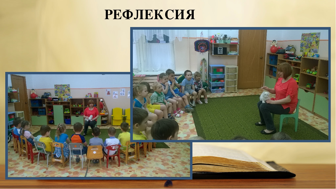 Презентация "Дикая кошка севера"