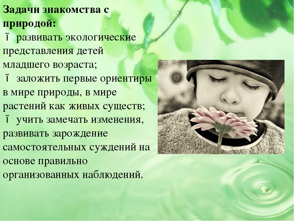 Презентация проекта на тему "Малыши и царство растений"