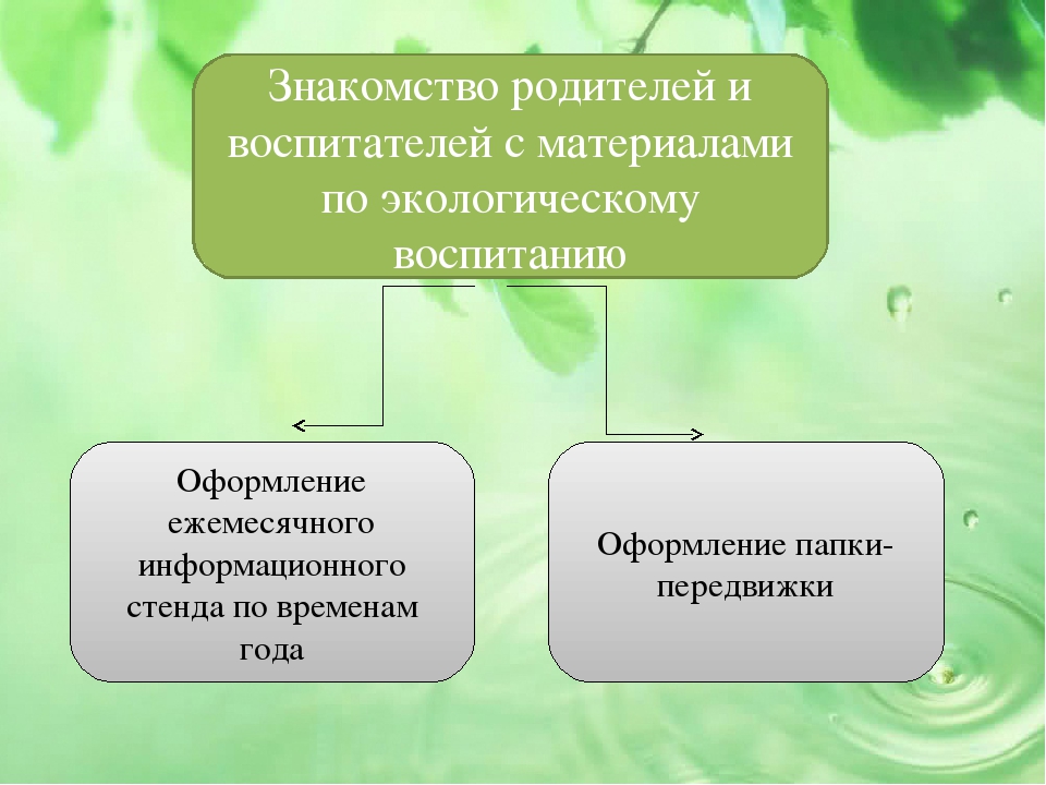 Презентация проекта на тему "Малыши и царство растений"