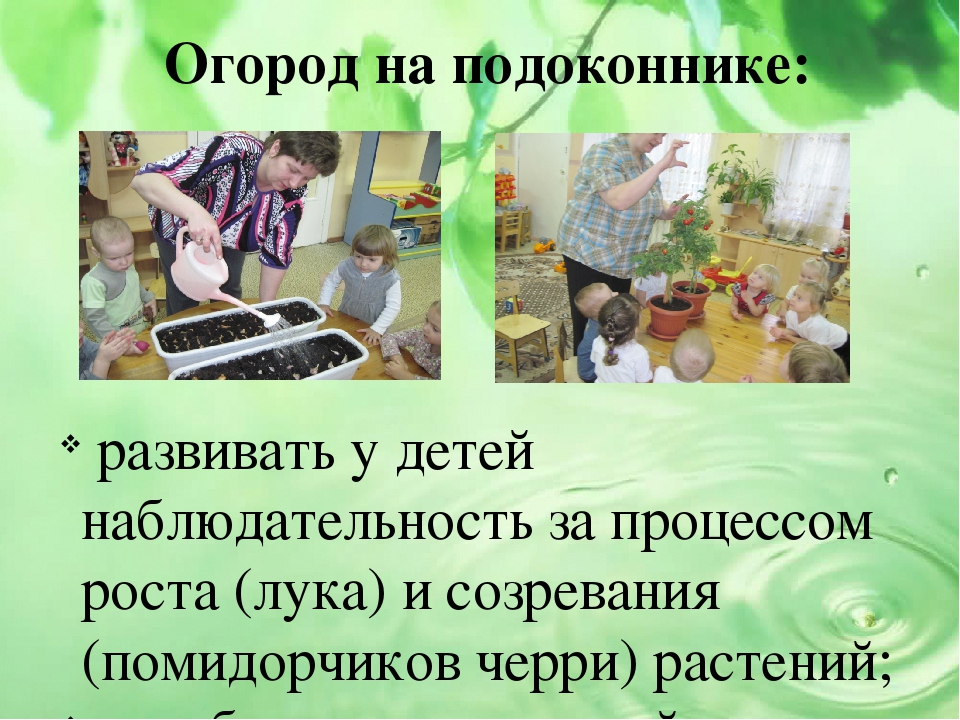 Презентация проекта на тему "Малыши и царство растений"