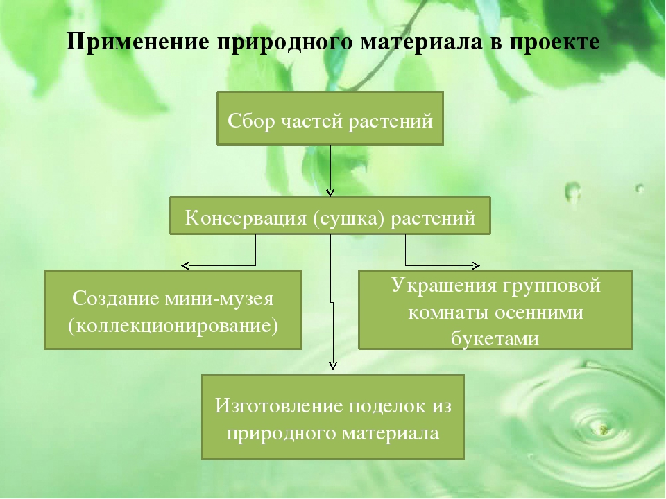 Презентация проекта на тему "Малыши и царство растений"