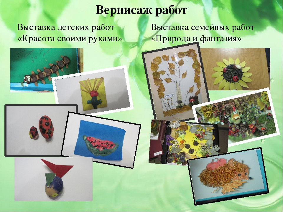 Презентация проекта на тему "Малыши и царство растений"