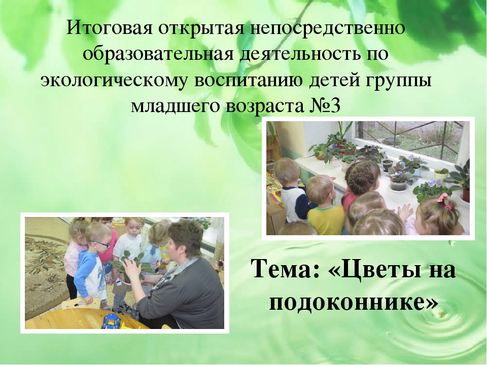 Презентация проекта на тему "Малыши и царство растений"