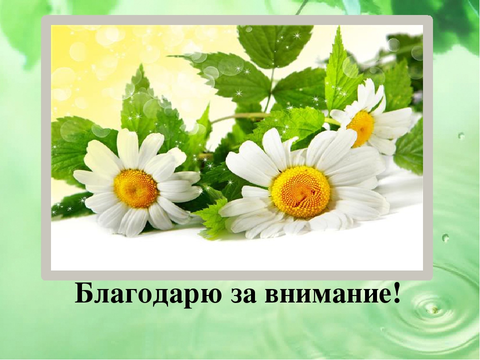 Презентация проекта на тему "Малыши и царство растений"