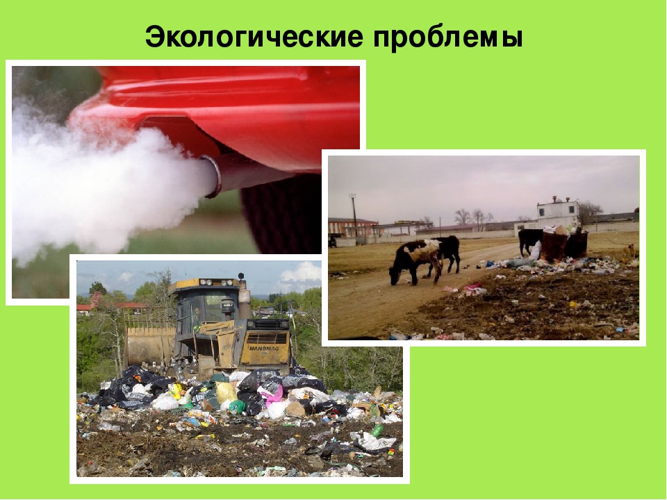 Проект "Земля - наш общий дом"