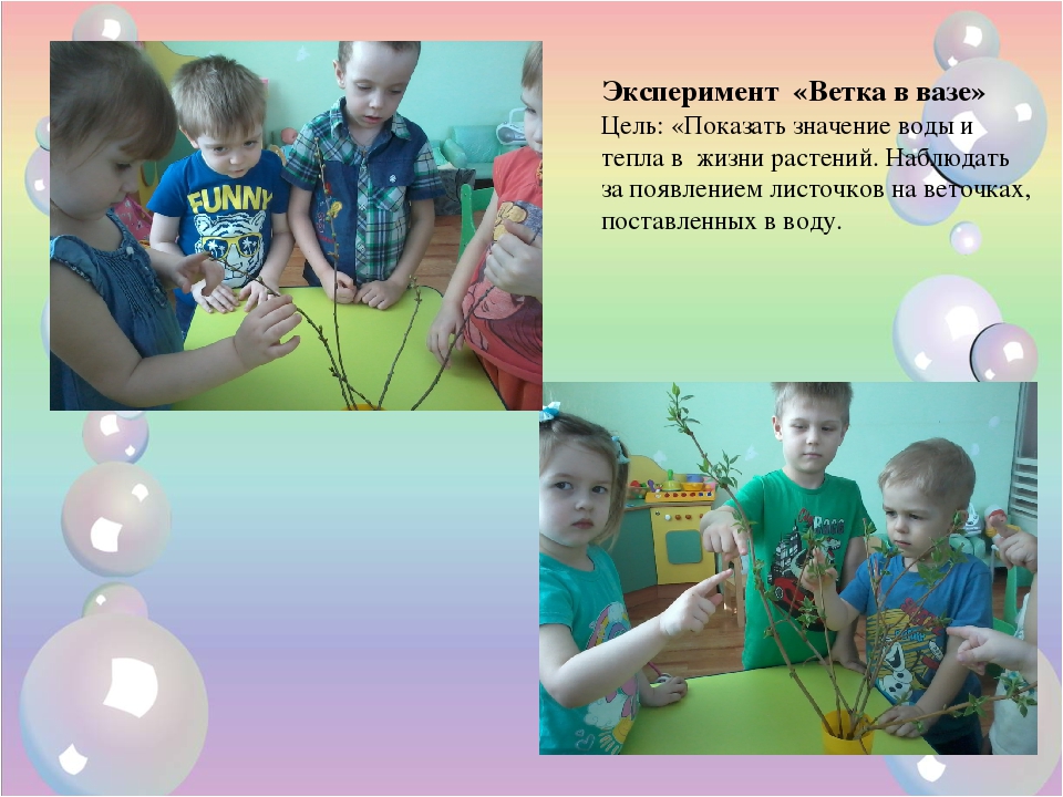 Презентация на тему «Экспериментирование в группе общеразвивающей направленности для детей 3-4 лет №2»