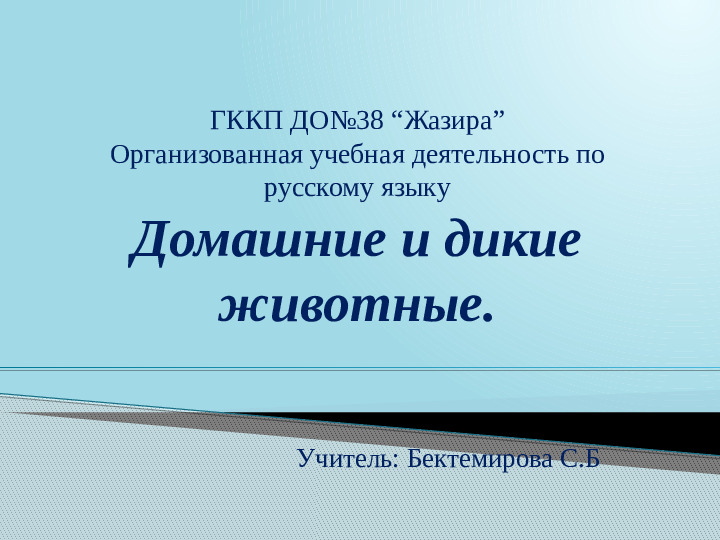 Домашние и дикие животные. Презентация для детей