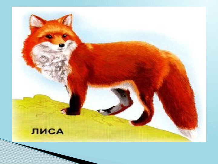 Домашние и дикие животные. Презентация для детей