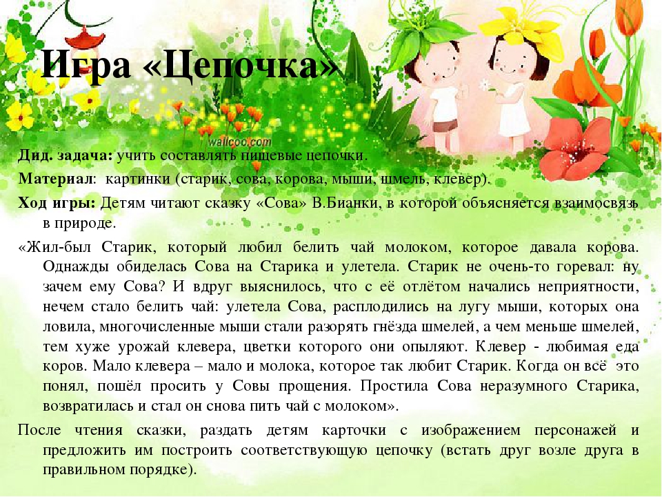 Экологическое воспитание дошкольников средствами дидактической игры