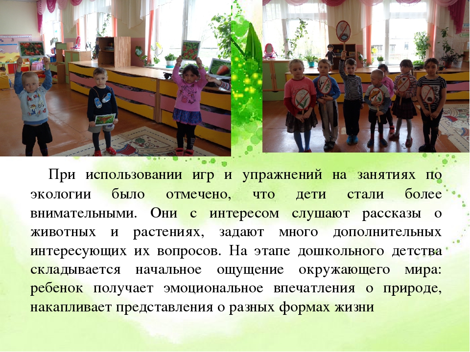 Экологическое воспитание дошкольников средствами дидактической игры