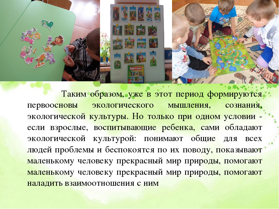 Экологическое воспитание дошкольников средствами дидактической игры