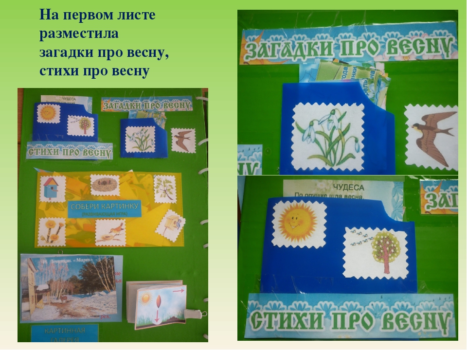 Презентация по экологическому воспитанию "Летбук Весна"
