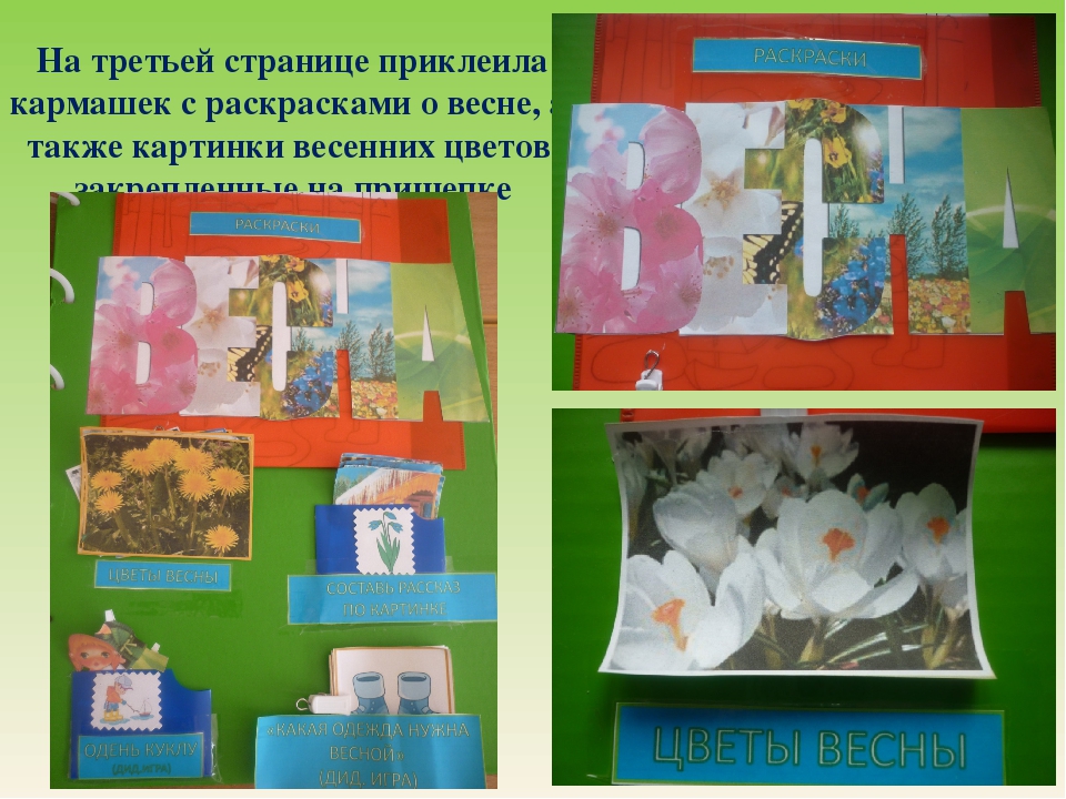 Презентация по экологическому воспитанию "Летбук Весна"