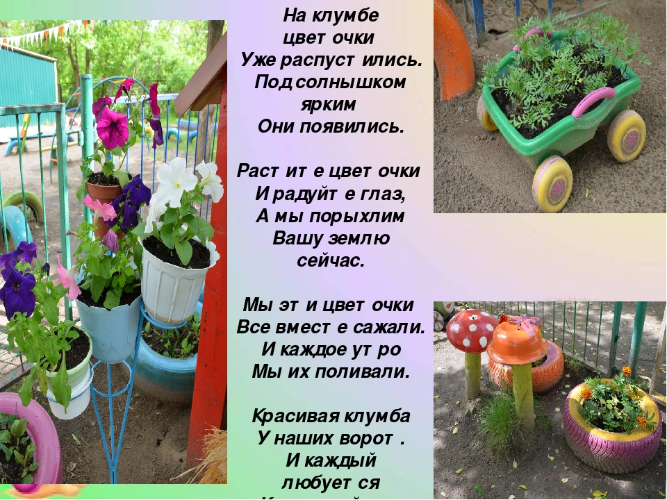 Презентация Прогулочный участок "В гостях у сказки"