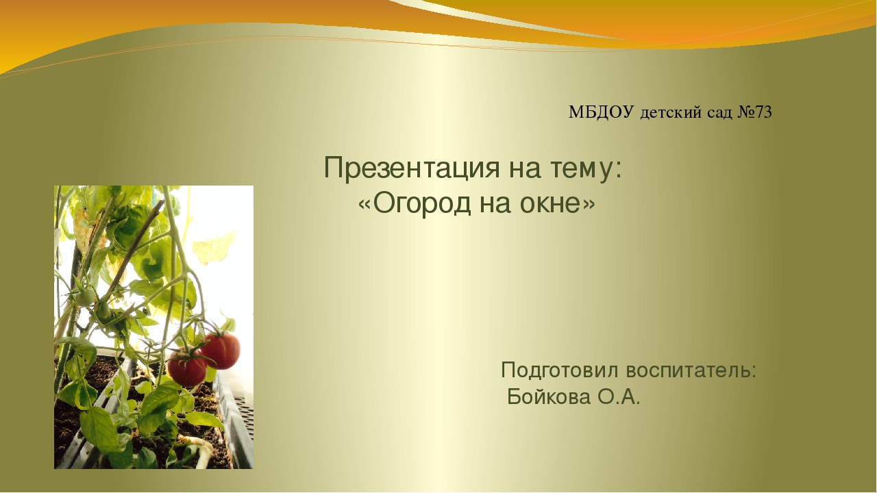 Презентация по экологии на тему "Огород на окне" (вторая младшая группа)