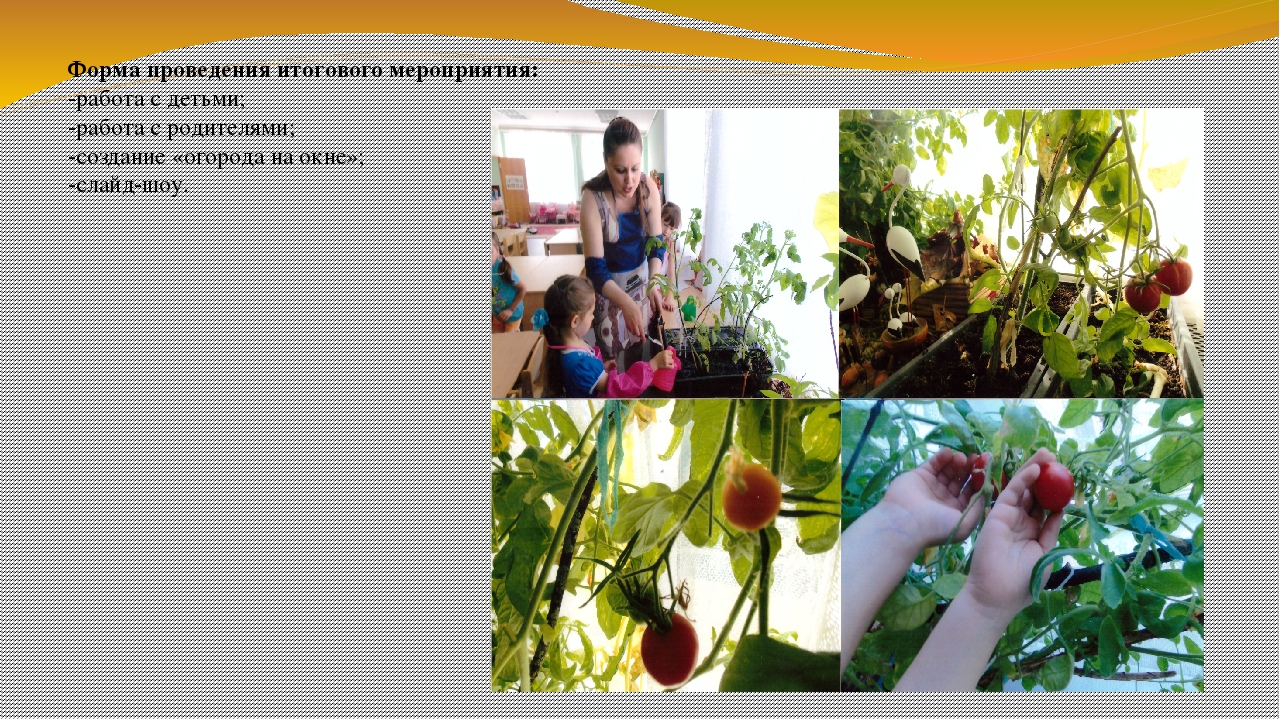 Презентация по экологии на тему "Огород на окне" (вторая младшая группа)