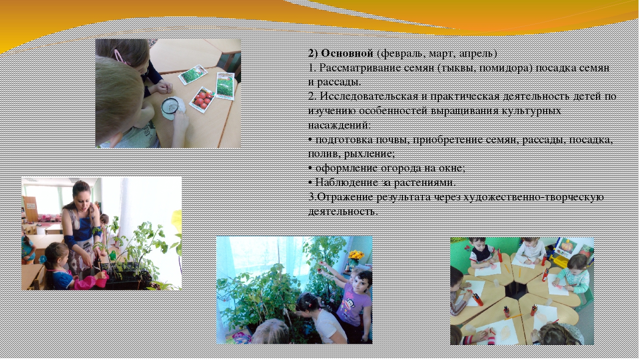 Презентация по экологии на тему "Огород на окне" (вторая младшая группа)