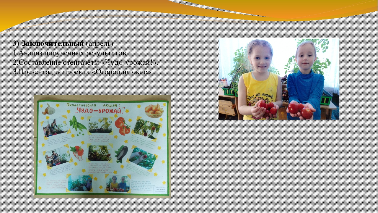 Презентация по экологии на тему "Огород на окне" (вторая младшая группа)