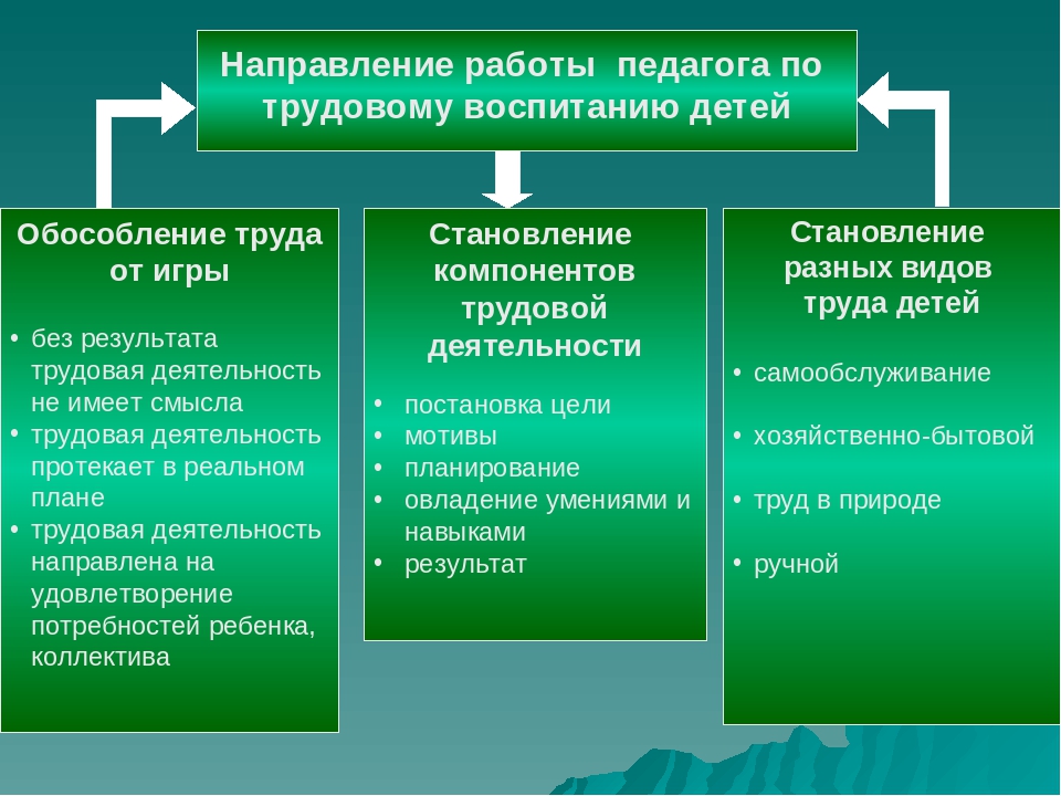 Направленное воспитание. Основные направления трудового воспитания. Направления трудового воспитания в детском саду. Основные направления в трудовом воспитании дошкольников. Условия трудового воспитания дошкольников в ДОУ.