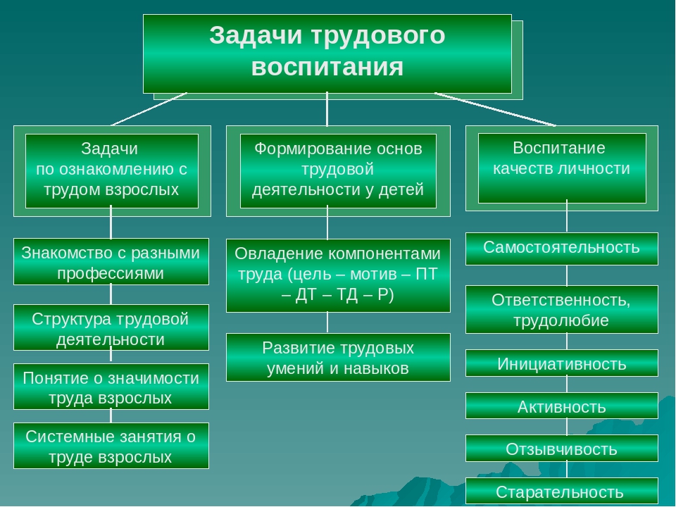 Виды организации деятельности детей. Структура трудового воспитания. Задачи трудового воспитания. Задачи трудового воспитания дошкольников. Цели и задачи трудового воспитания.