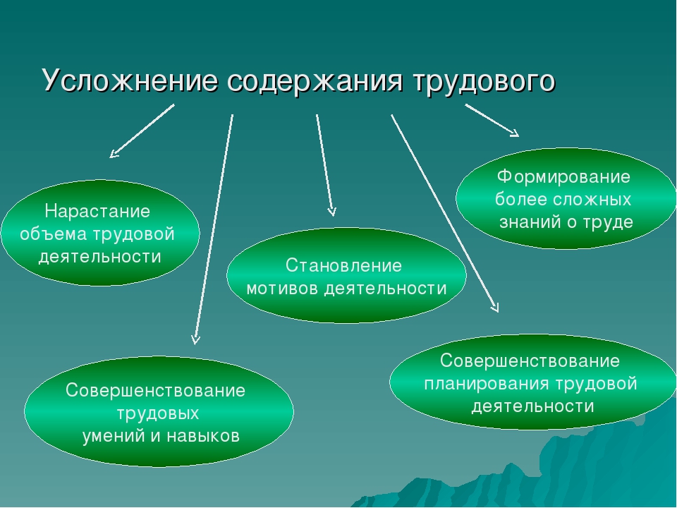 Презентация на тему "Организация трудового воспитания в ДОУ"