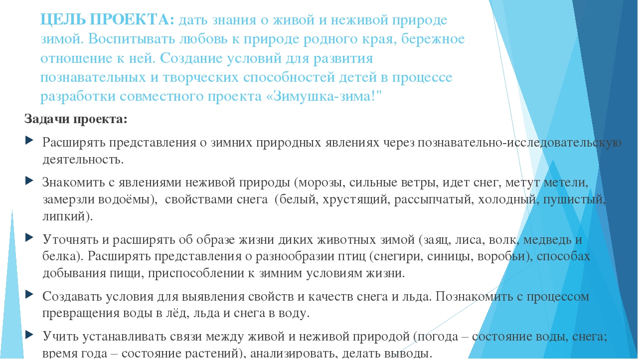 Педагогический проект на тему "Зима"