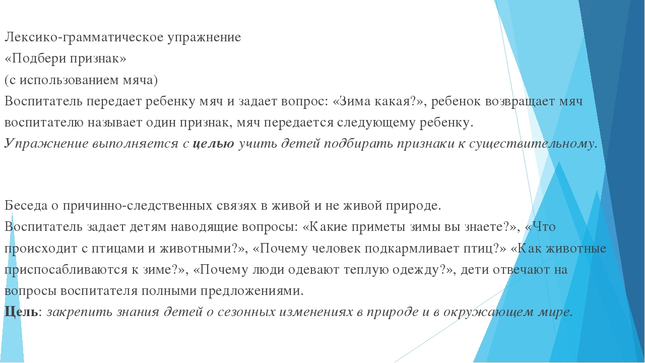 Педагогический проект на тему "Зима"