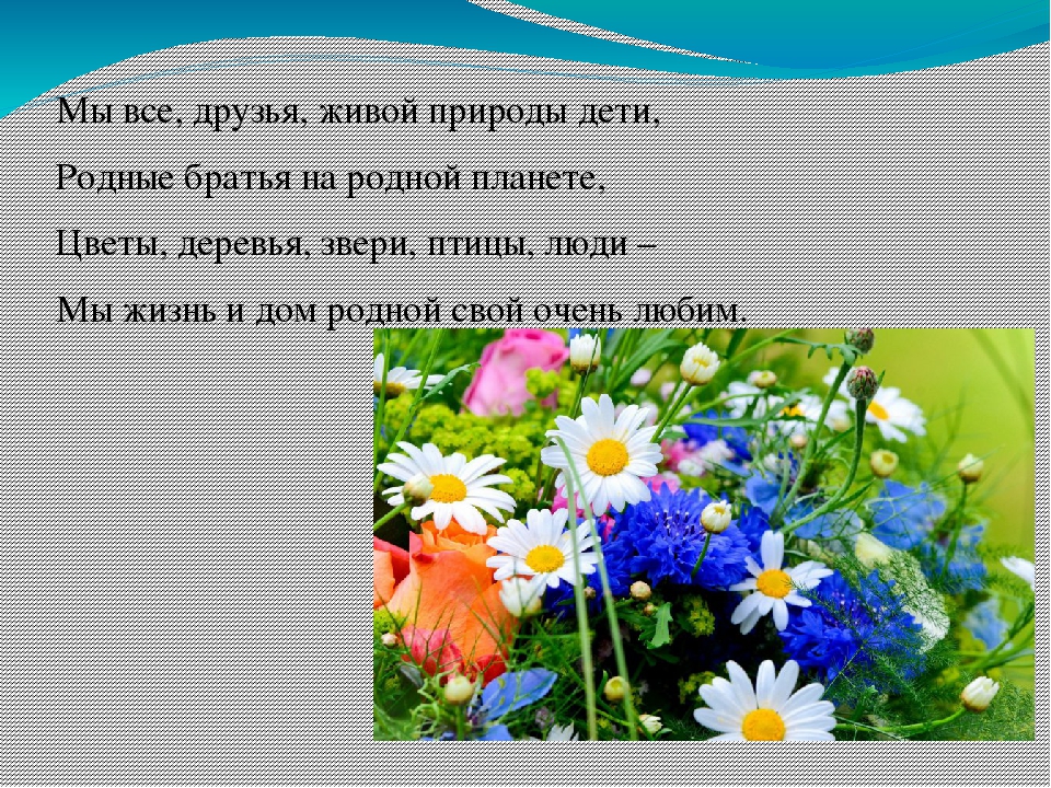Презентация выставки "Мир волшебных цветов"