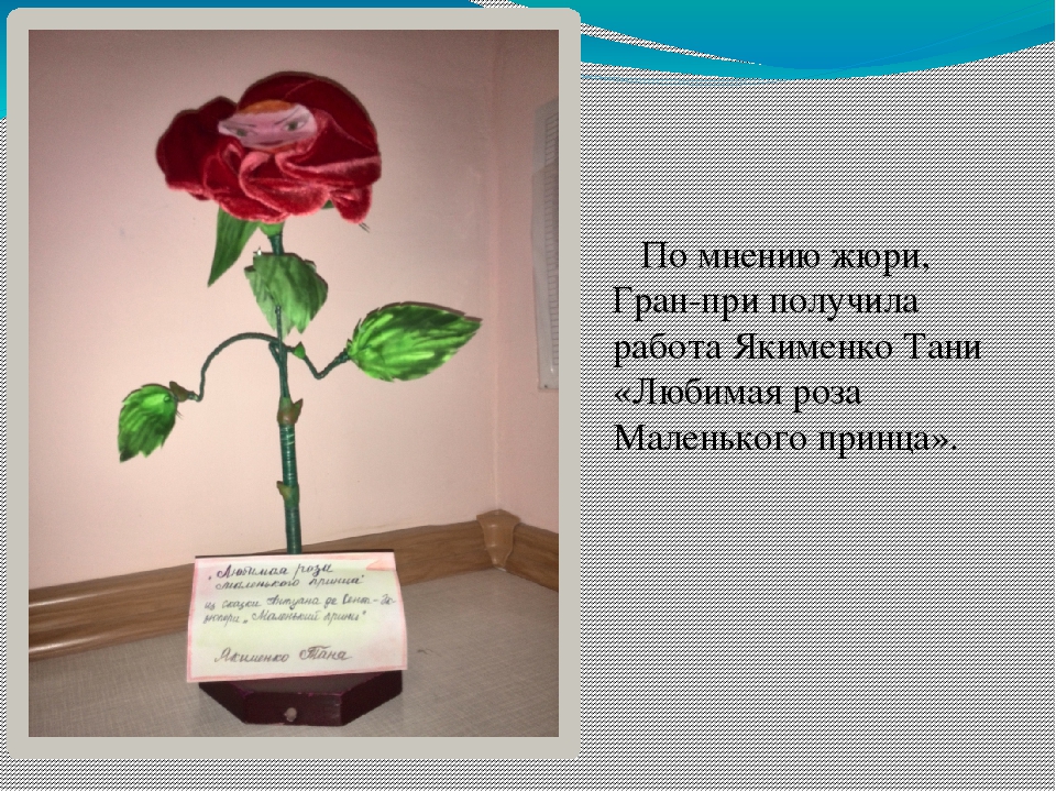 Презентация выставки "Мир волшебных цветов"