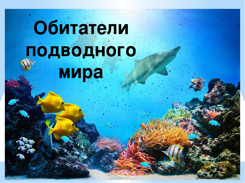 Презентация к году Экологии на тему "Обитатели подводного мира"