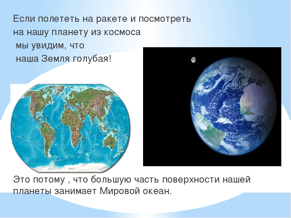 Презентация к году Экологии на тему "Обитатели подводного мира"