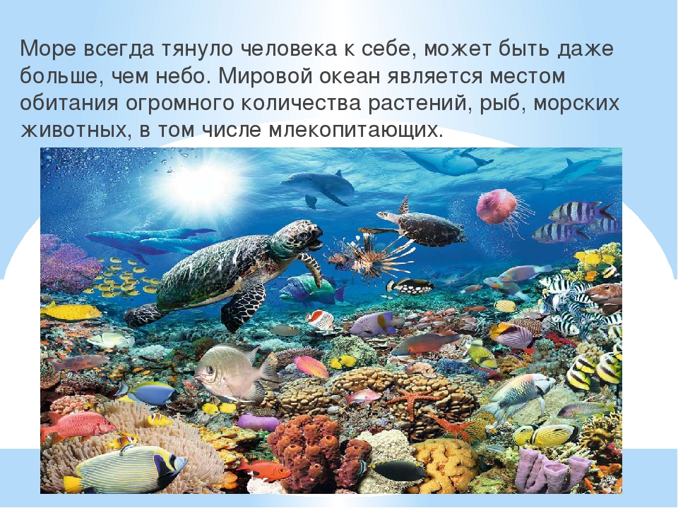 Презентация к году Экологии на тему "Обитатели подводного мира"