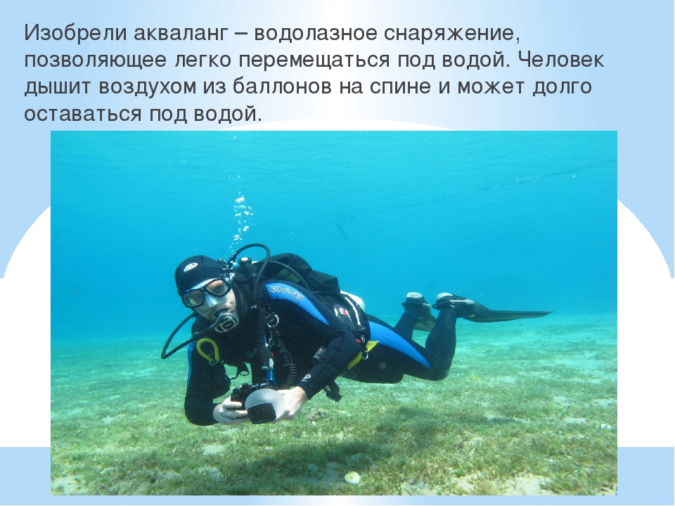 Презентация к году Экологии на тему "Обитатели подводного мира"