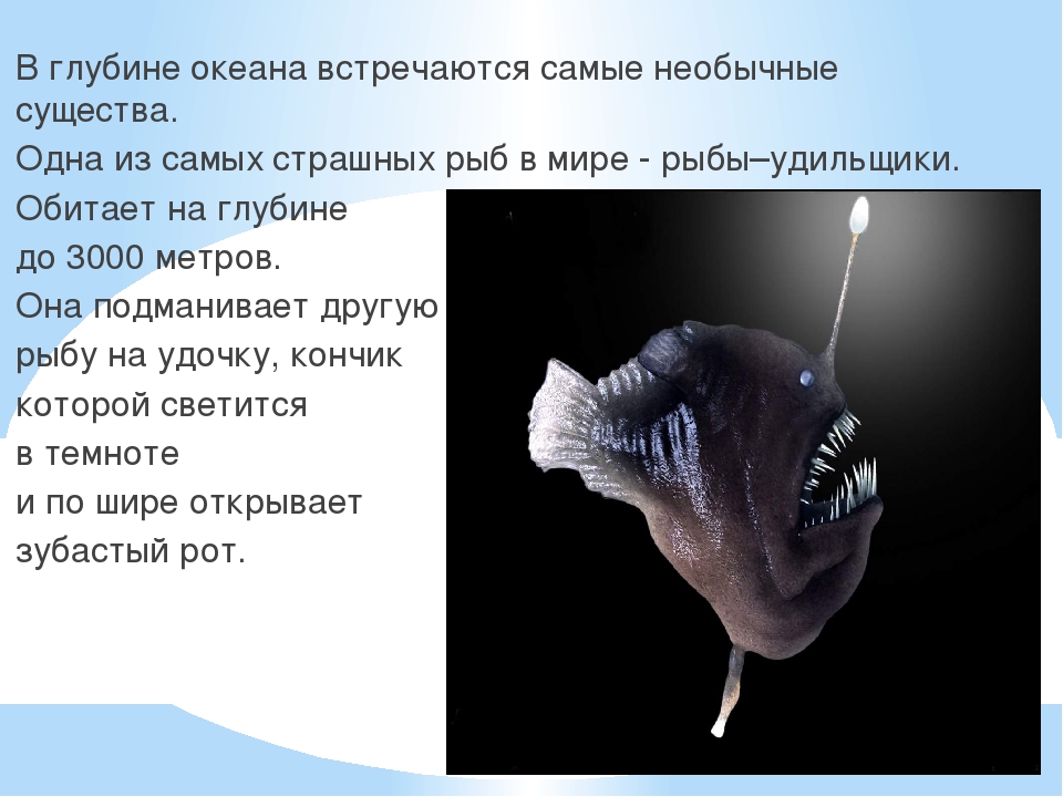 Презентация к году Экологии на тему "Обитатели подводного мира"