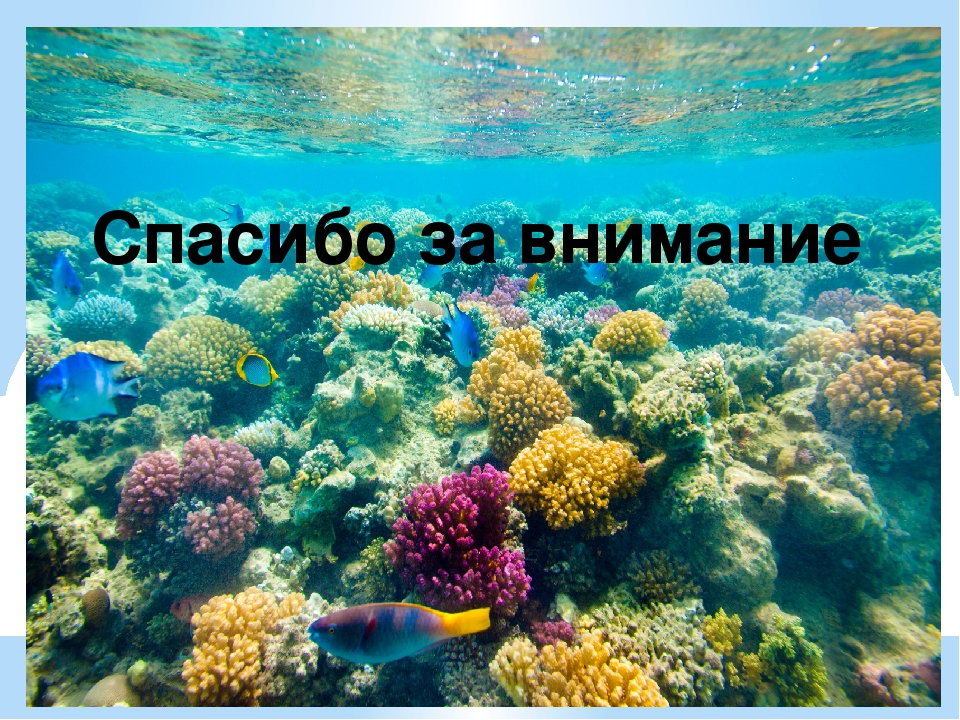 Презентация к году Экологии на тему "Обитатели подводного мира"