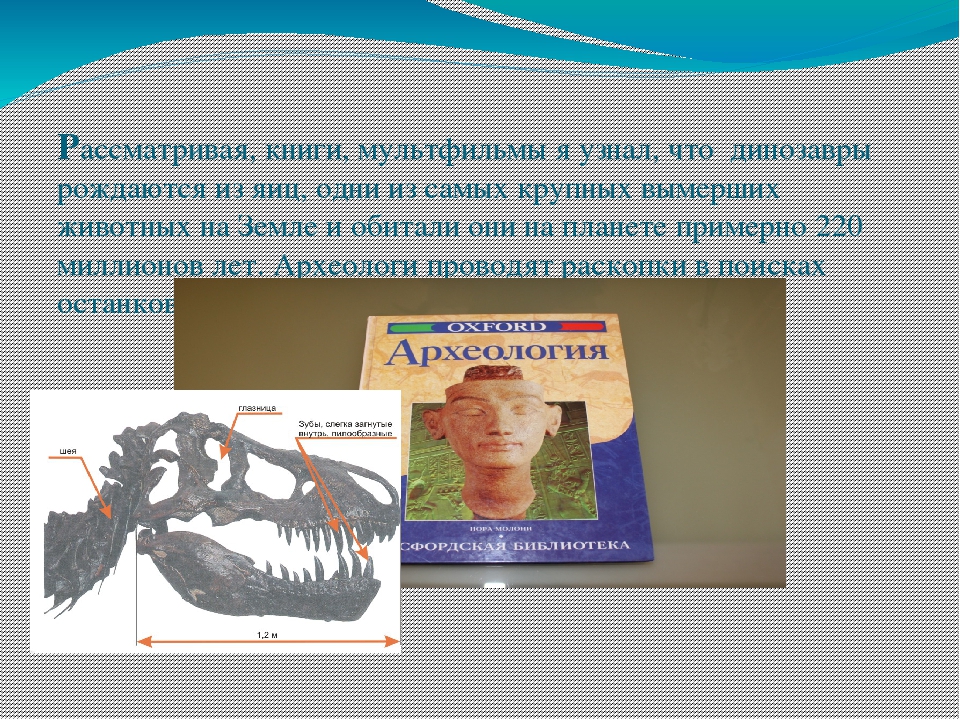 Презентация: Исследовательско - творческий проект   Тема: «Мир динозавров»