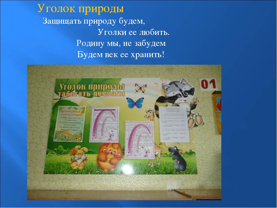 Презентация "Информационный уголок для родителей"
