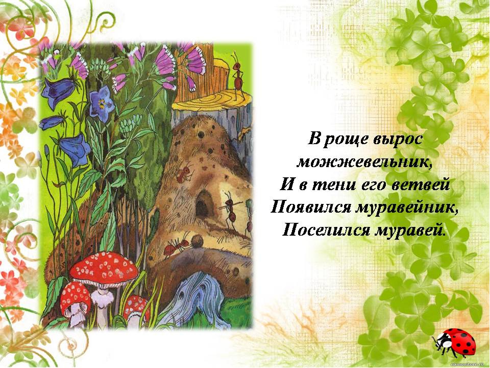Презентация " Сказка о лекарственных растениях"