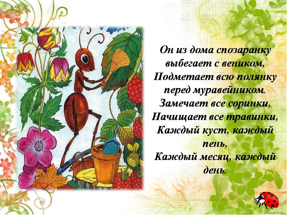 Презентация " Сказка о лекарственных растениях"