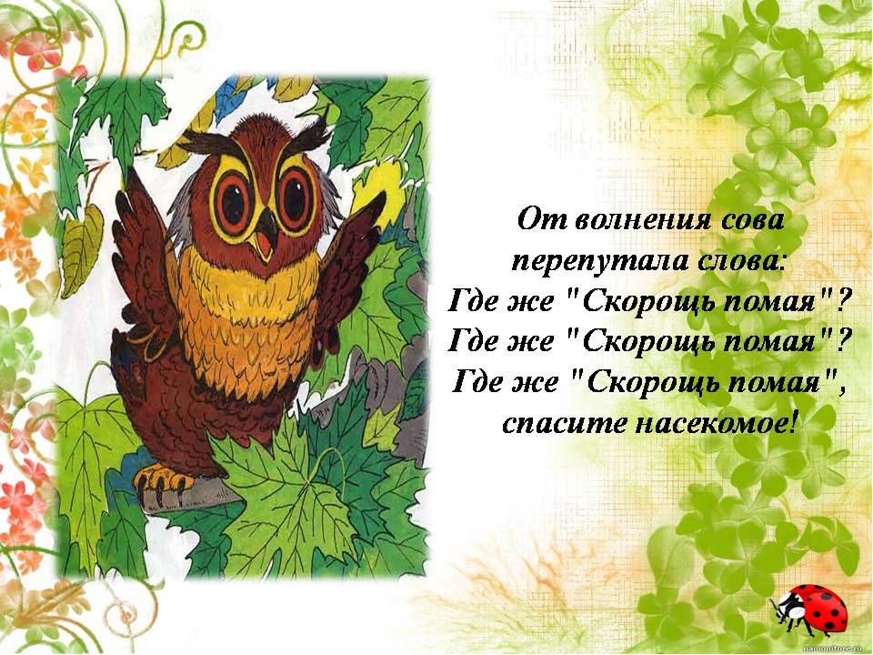 Презентация " Сказка о лекарственных растениях"