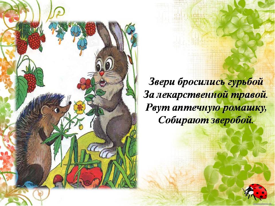 Презентация " Сказка о лекарственных растениях"