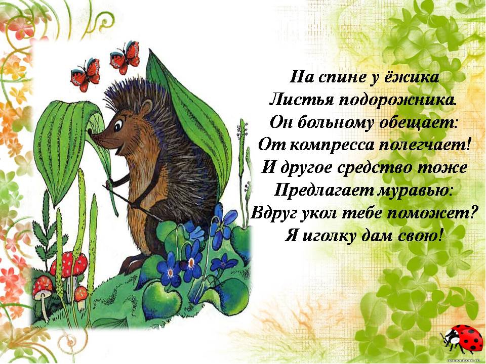 Презентация " Сказка о лекарственных растениях"