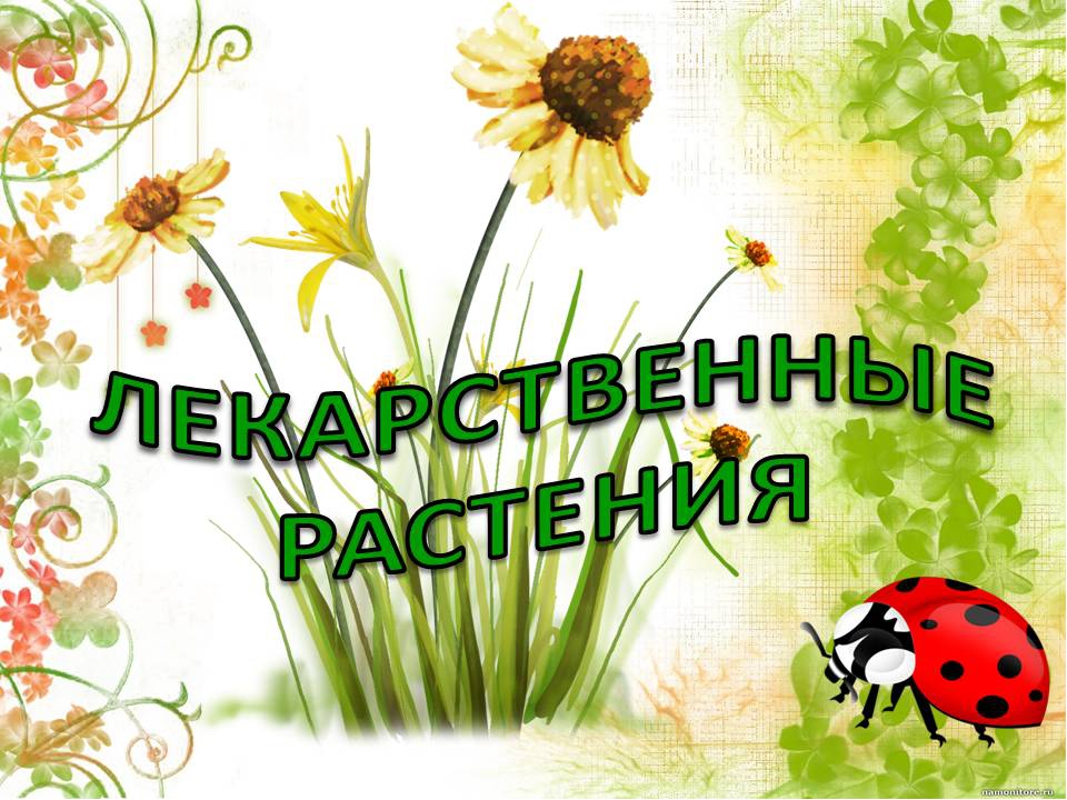Презентация " Сказка о лекарственных растениях"