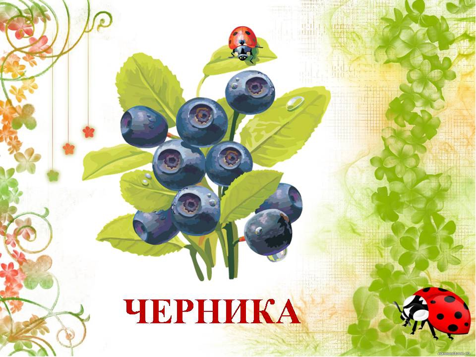 Презентация " Сказка о лекарственных растениях"