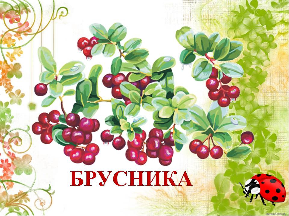 Презентация " Сказка о лекарственных растениях"