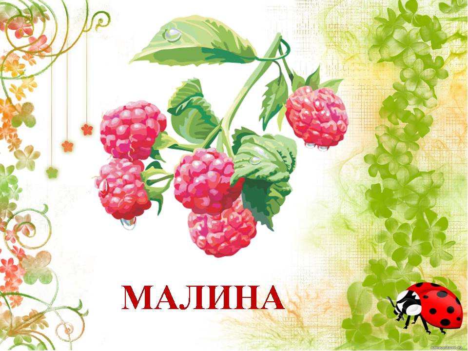 Презентация " Сказка о лекарственных растениях"