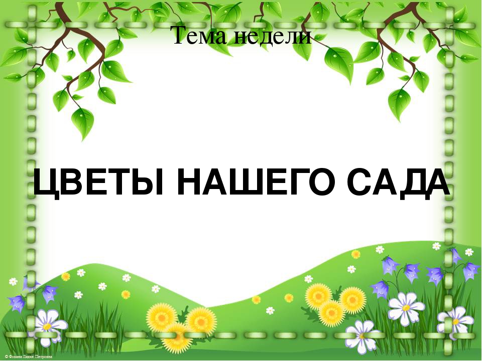 Презентация проекта "Цветы нашего сада" (подготовительная группа)