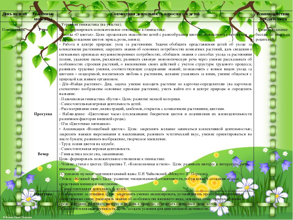 Презентация проекта "Цветы нашего сада" (подготовительная группа)